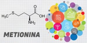 metionina