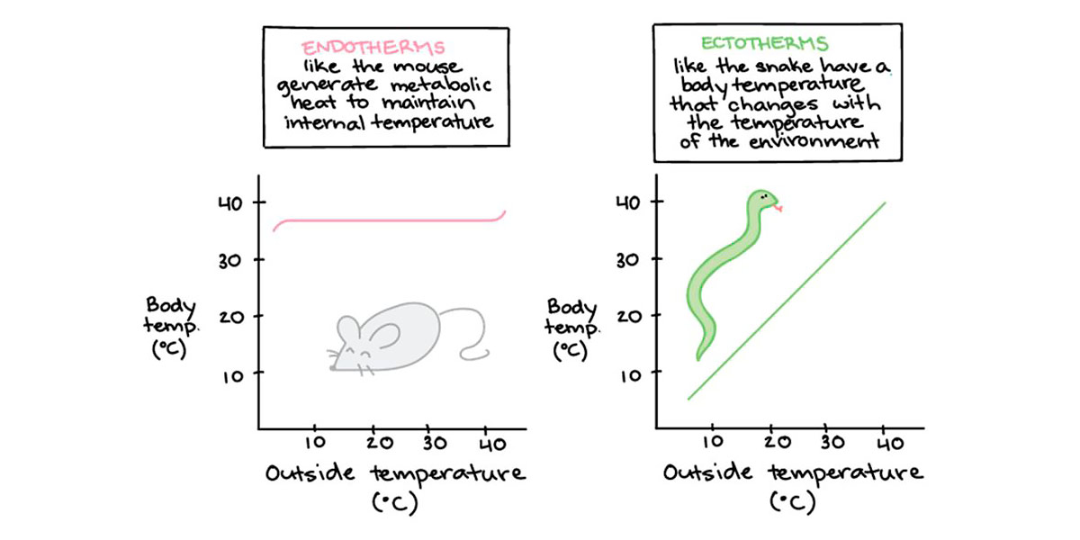 biomarcatori temperatura 
