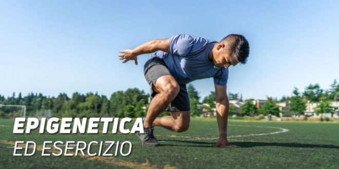 Epigenetica ed Esercicio: Un’Amicizia Necessaria