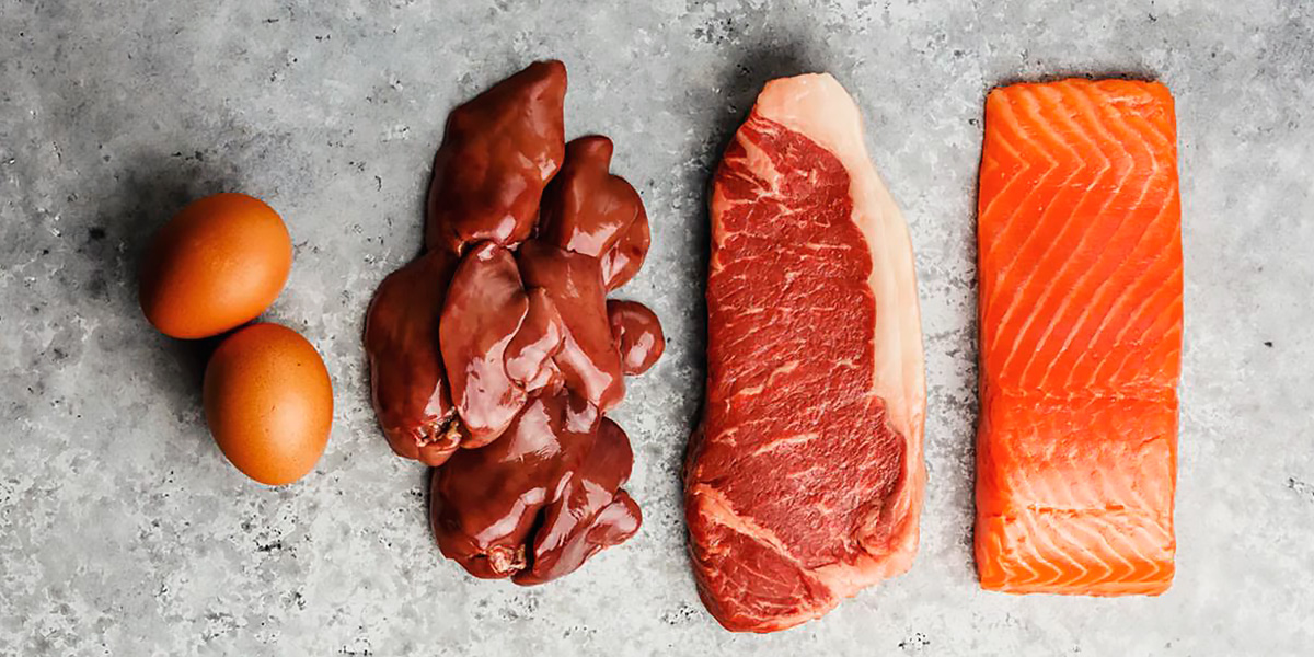 alimenti dieta carnivora alimenti dieta carnivora