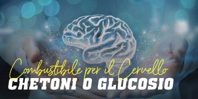 Qual è il Miglior Combustibile per Cervello, Chetoni o Glucosio?