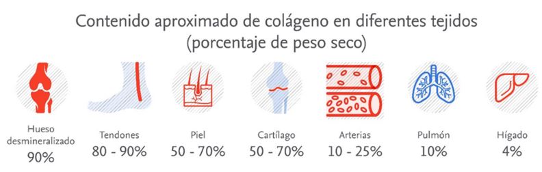 Contenuto di collagene Contenuto di collagene