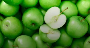 Fibra de manzana
