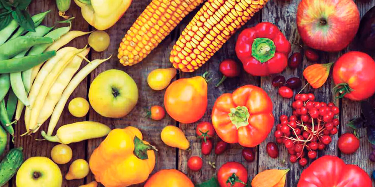Frutta verdura Frutta verdura
