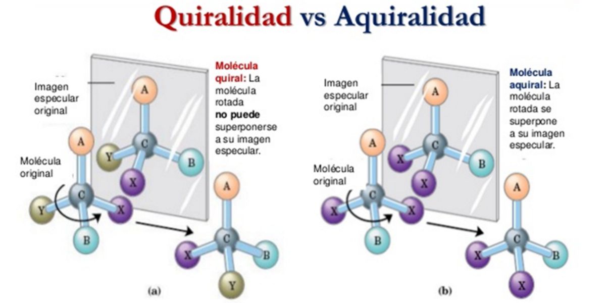 Molecole Molecole
