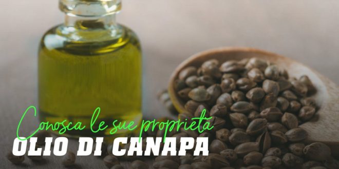 Olio di canapa: tutto ciò che devi sapere