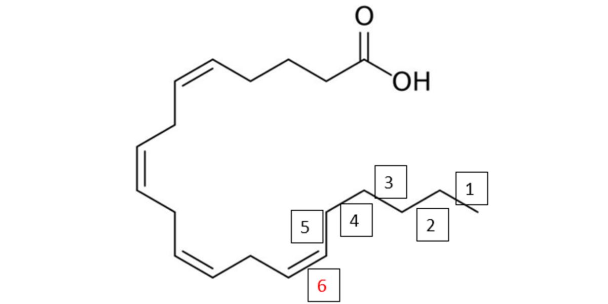Struttura molecolare
