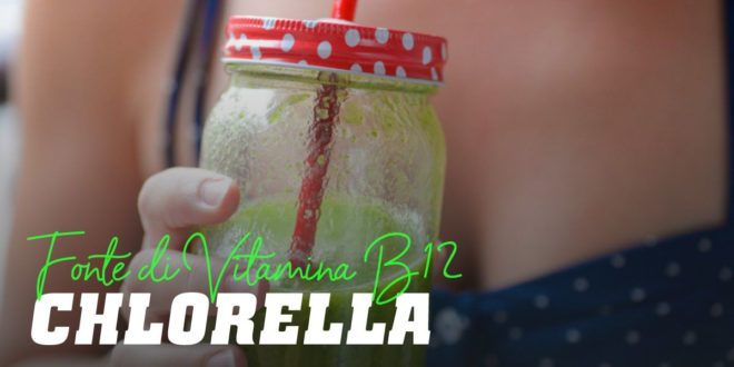Clorella: Fonte di Vitamina B12