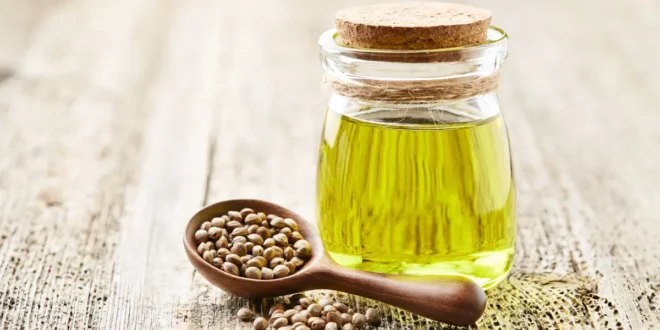 Benefici comprovati dell’olio di semi di canapa Benefici comprovati dell’olio di semi di canapa