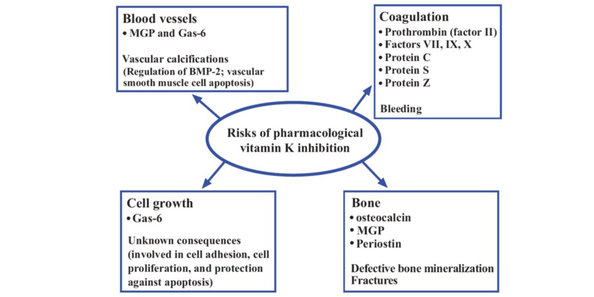 Inibizione della vitamina K Inibizione della vitamina K