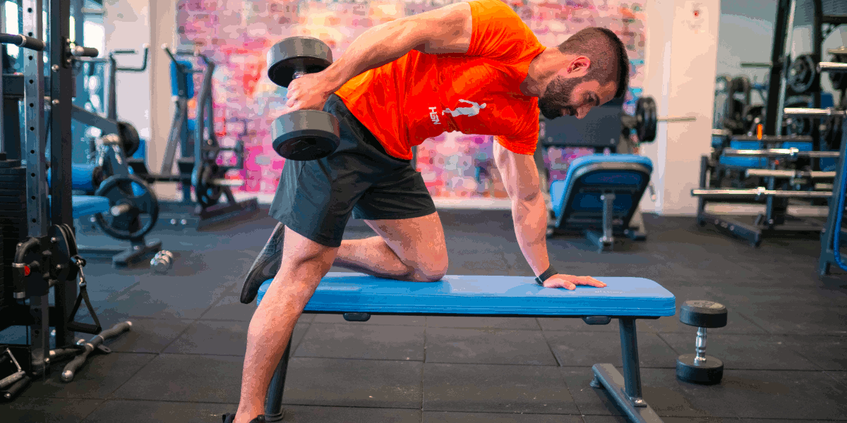 Triceps Extensions Triceps Extensions