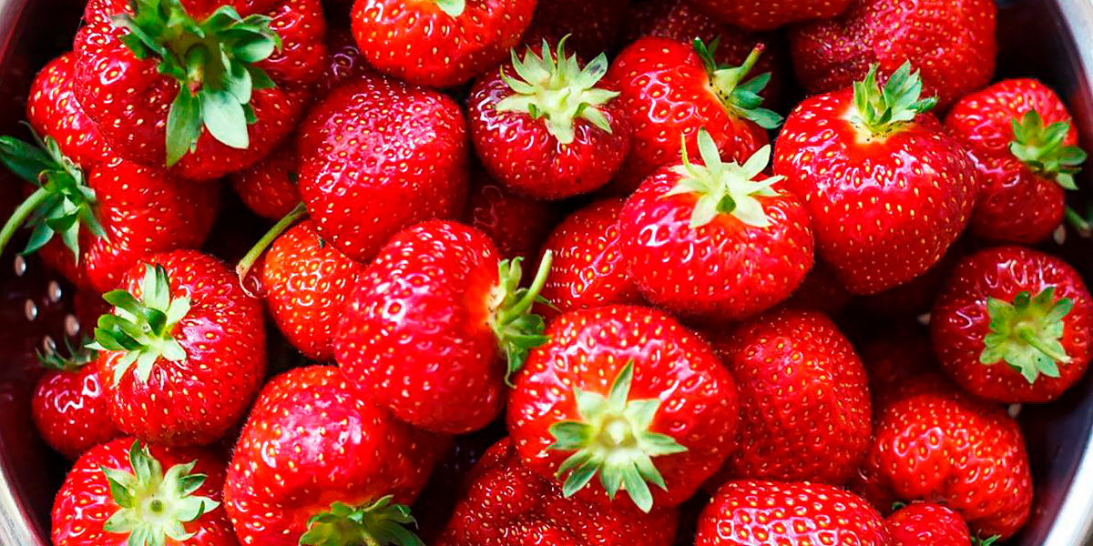Fragole come antiossidanti