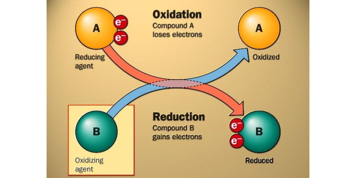 REDOX