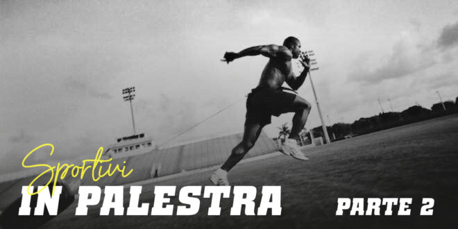 Guida HSN: Sportivi in Palestra. Parte 2 Guida HSN: Sportivi in Palestra. Parte 2
