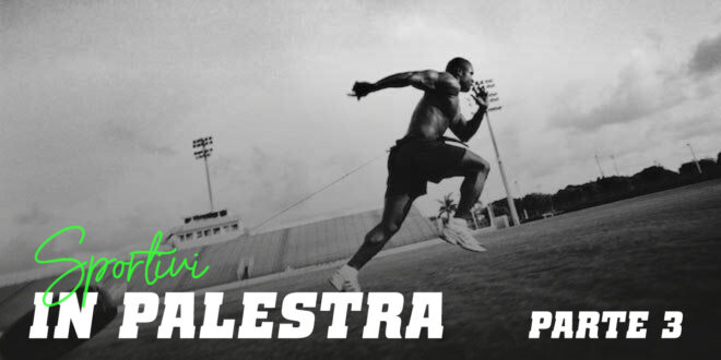 Guida HSN: Sportivi in Palestra. Parte 3 Guida HSN: Sportivi in Palestra. Parte 3