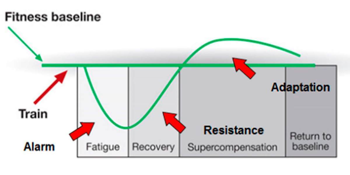 Stimolo-riposta Stimolo-riposta