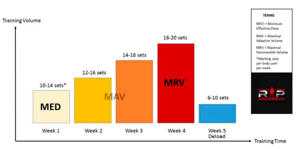Volume-Ipertrofia Volume-Ipertrofia