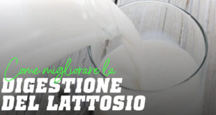 Come migliorare la digestione del lattosio