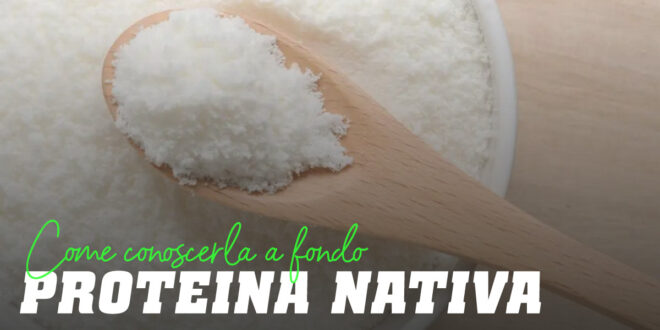 La proteina del siero di latte nativa e i suoi benefici