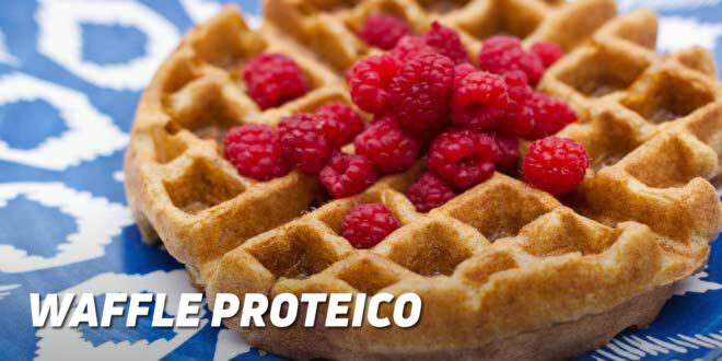 Waffle Proteico