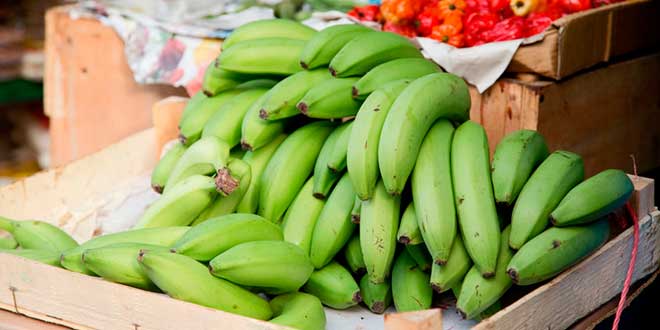 Banana e Amido Resistente