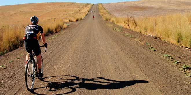 Nutrizione e Supplementi per Ciclisti Principianti Nutrizione e Supplementi per Ciclisti Principianti