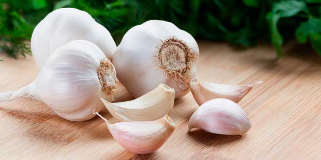 Aglio Aglio