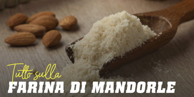 Farina di Mandorle: ti sveliamo Cosa Dovresti Sapere e Alcune Ricette Farina di Mandorle: ti sveliamo Cosa Dovresti Sapere e Alcune Ricette