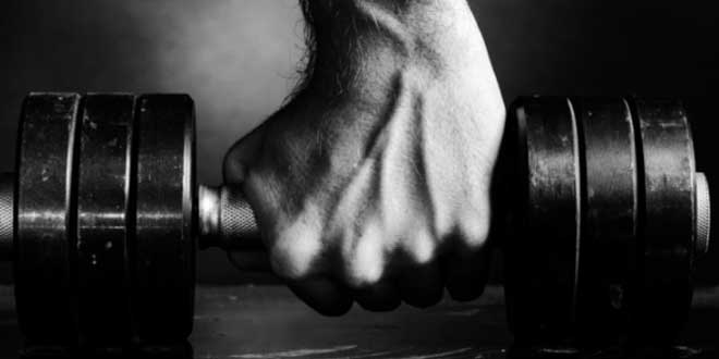 Fattori della forza Allenamento di forza per principianti: Fattori della forza