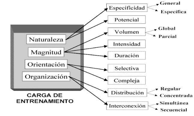 Figura 1 Figura 1 di allenamento di forza per principianti