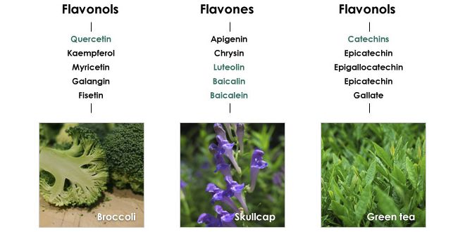 Flavonoidi Flavonoidi
