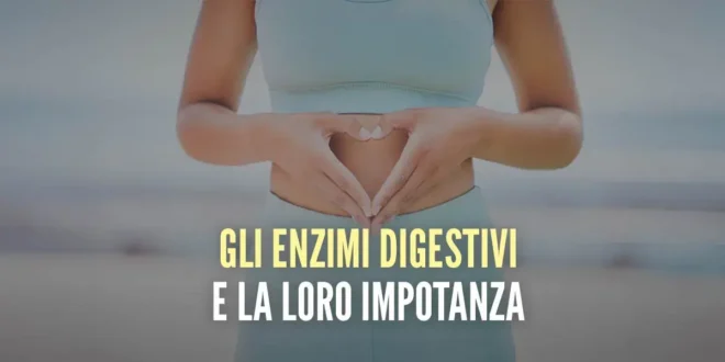 Gli Enzimi Digestivi e la loro Importanza Gli Enzimi Digestivi e la loro Importanza