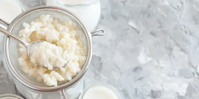 12 benefici di includere il kefir nella tua dieta 12 benefici di includere il kefir nella tua dieta