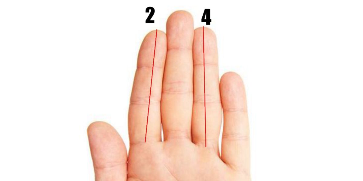 Rappresentazione misurazione dita Rappresentazione misurazione dita