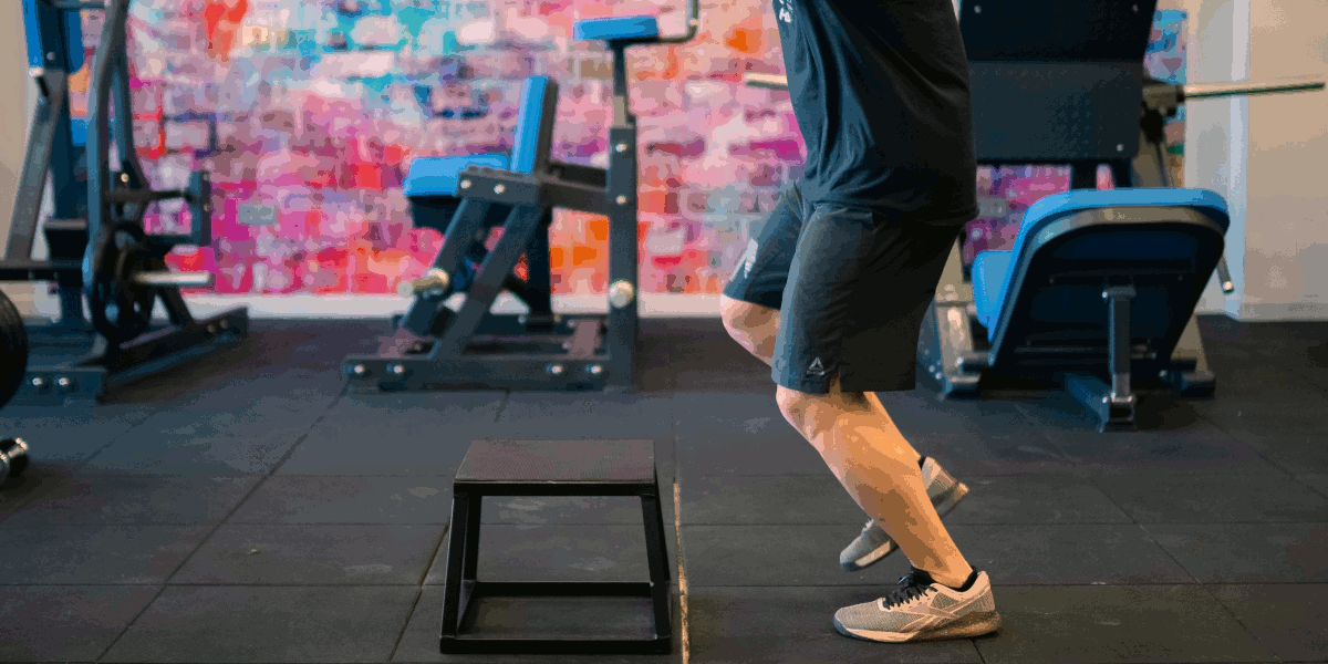 1 gamba box jump 1 gamba box jump