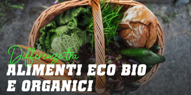 Alimenti ECO, Bio e Organici: ci sono differenze?