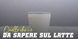 Latte: Tutto quello che devi sapere su questo alimento