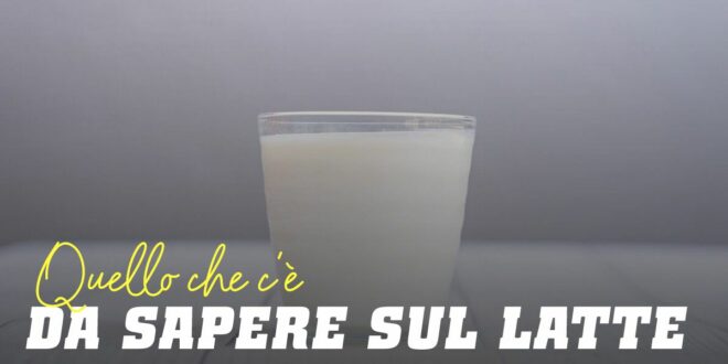 Latte: Tutto quello che devi sapere su questo alimento