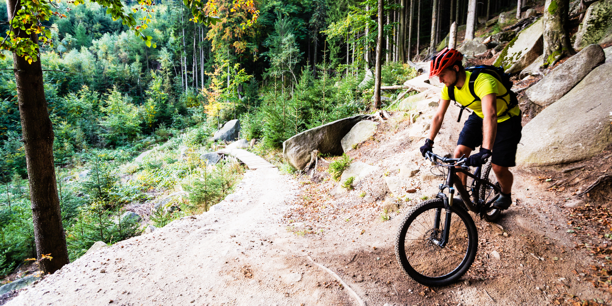 Mountain bike o ciclismo su strada, qual è meglio? Mountain bike o ciclismo su strada, qual è meglio?