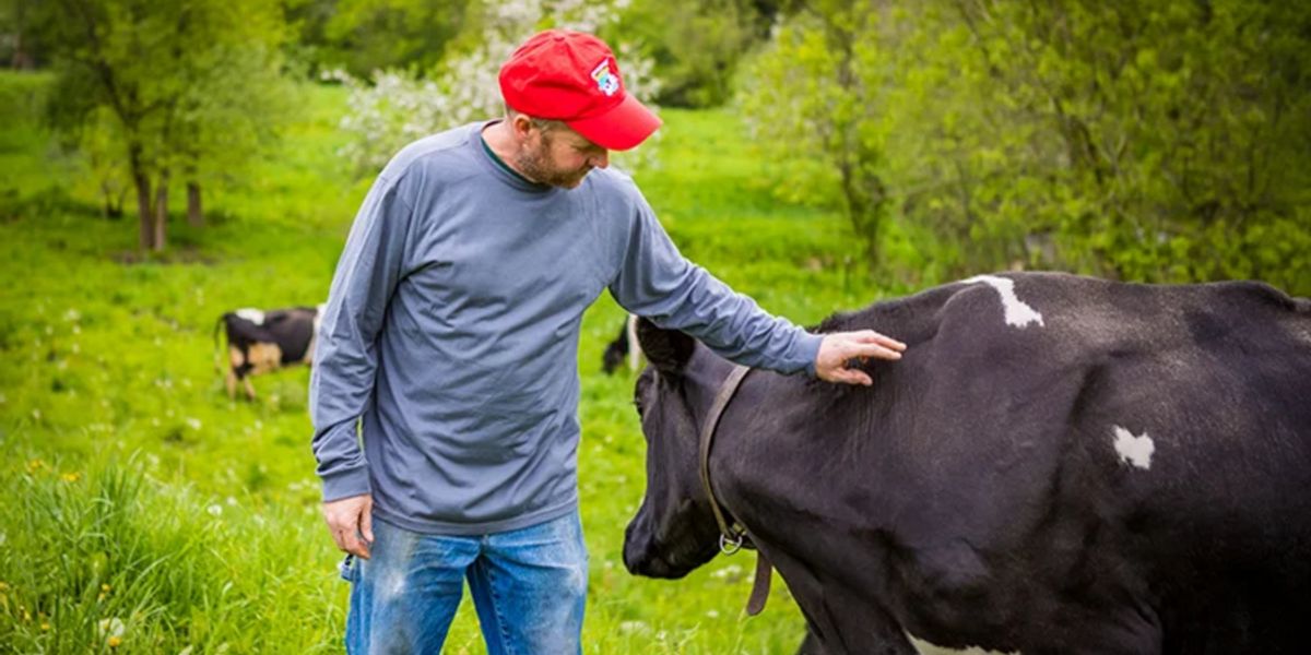 Perché non bisogna consumare latte?