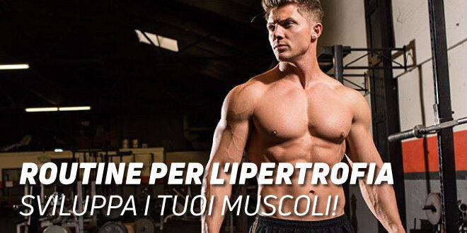 Routine di Ipertrofia: Sviluppa i tuoi Muscoli