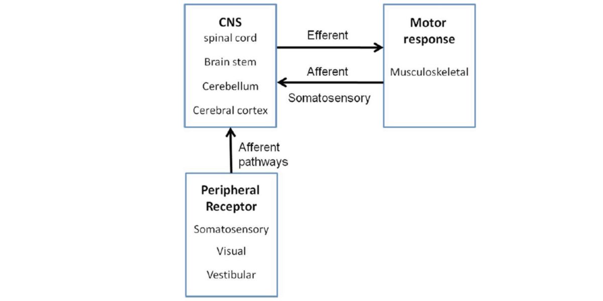 Meccanismo di controllo del loop chiuso Meccanismo di controllo del loop chiuso