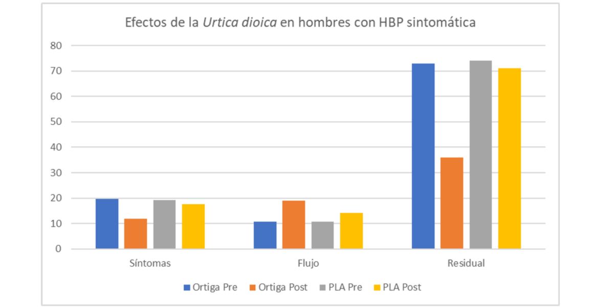 Effetti dell'Urtica Dioica Effetti dell'Urtica Dioica