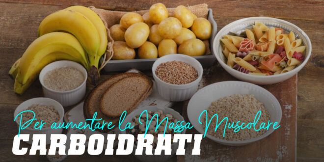 Carboidrati per Aumentare la Massa Muscolare Carboidrati per Aumentare la Massa Muscolare