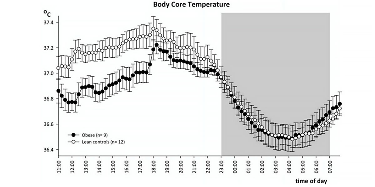Fluttazione della temperatura corporea Fluttazione della temperatura corporea