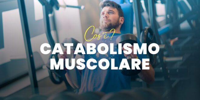 Catabolismo Muscolare: Che cos’è, Perché Avviene e Come Evitarlo