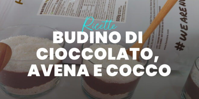 Pudding Proteico di Cioccolato, Avena e Cocco Pudding Proteico di Cioccolato, Avena e Cocco