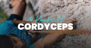 Benefici Cordyceps