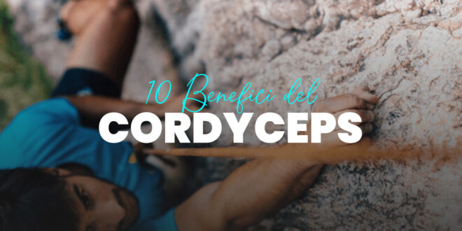 10 Benefici di Cordyceps che ti interessano 10 Benefici di Cordyceps che ti interessano