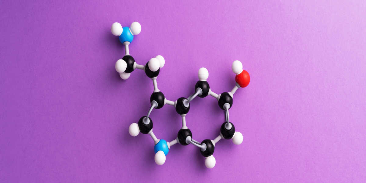 Come agisce il cordyceps sugli ormoni? Come agisce il cordyceps sugli ormoni?